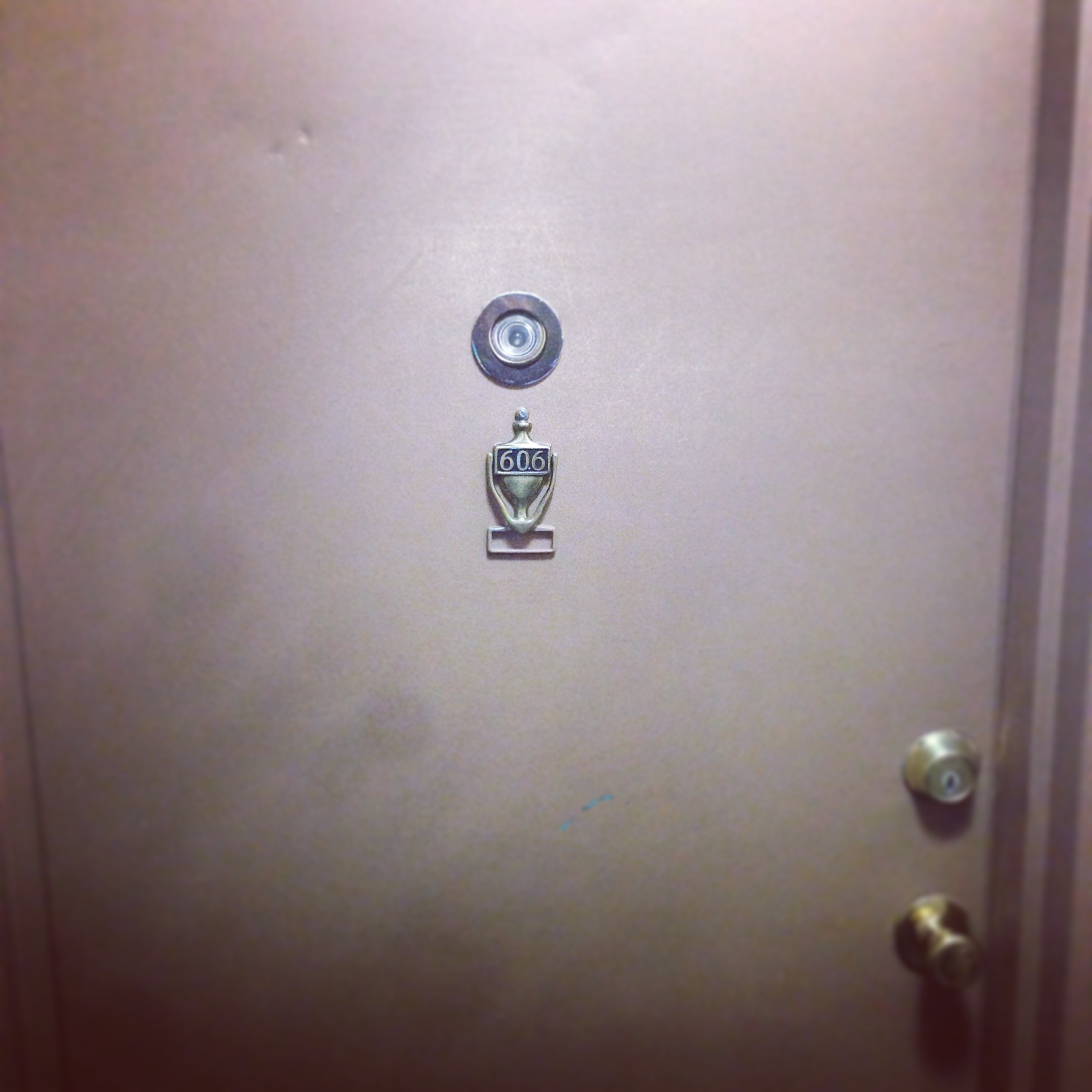 梅尔伍德二百二十二号，六零六室。许多人在这里相识，许多故事在这里发生。